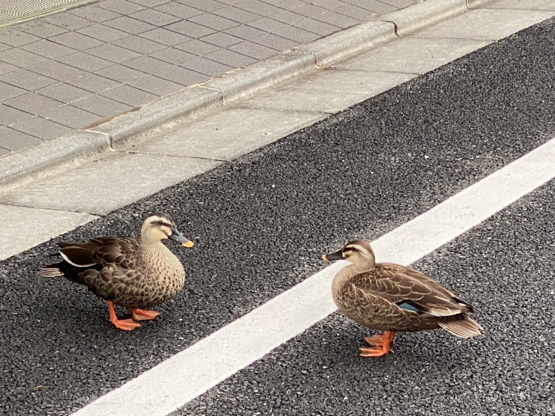 クレームへの返し方②〜エネルギー的境界線〜